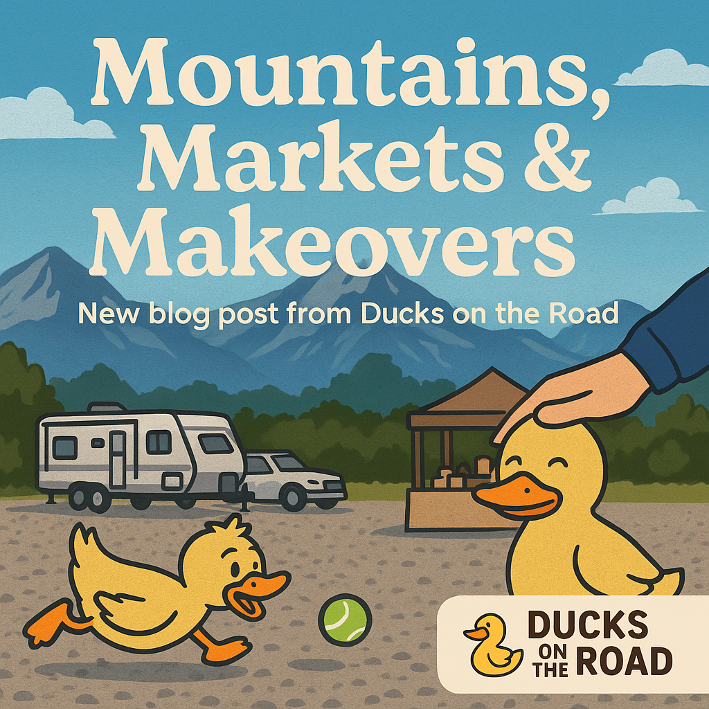 Settling in, Selling Out, and Playing Fetch (Sort Of): Life in Colorado Springs